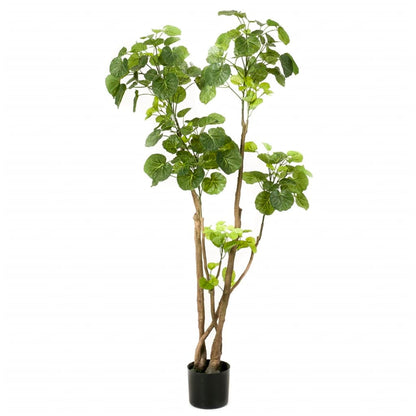 Albero di Polyscias Artificiale Verde 135 cm 420292