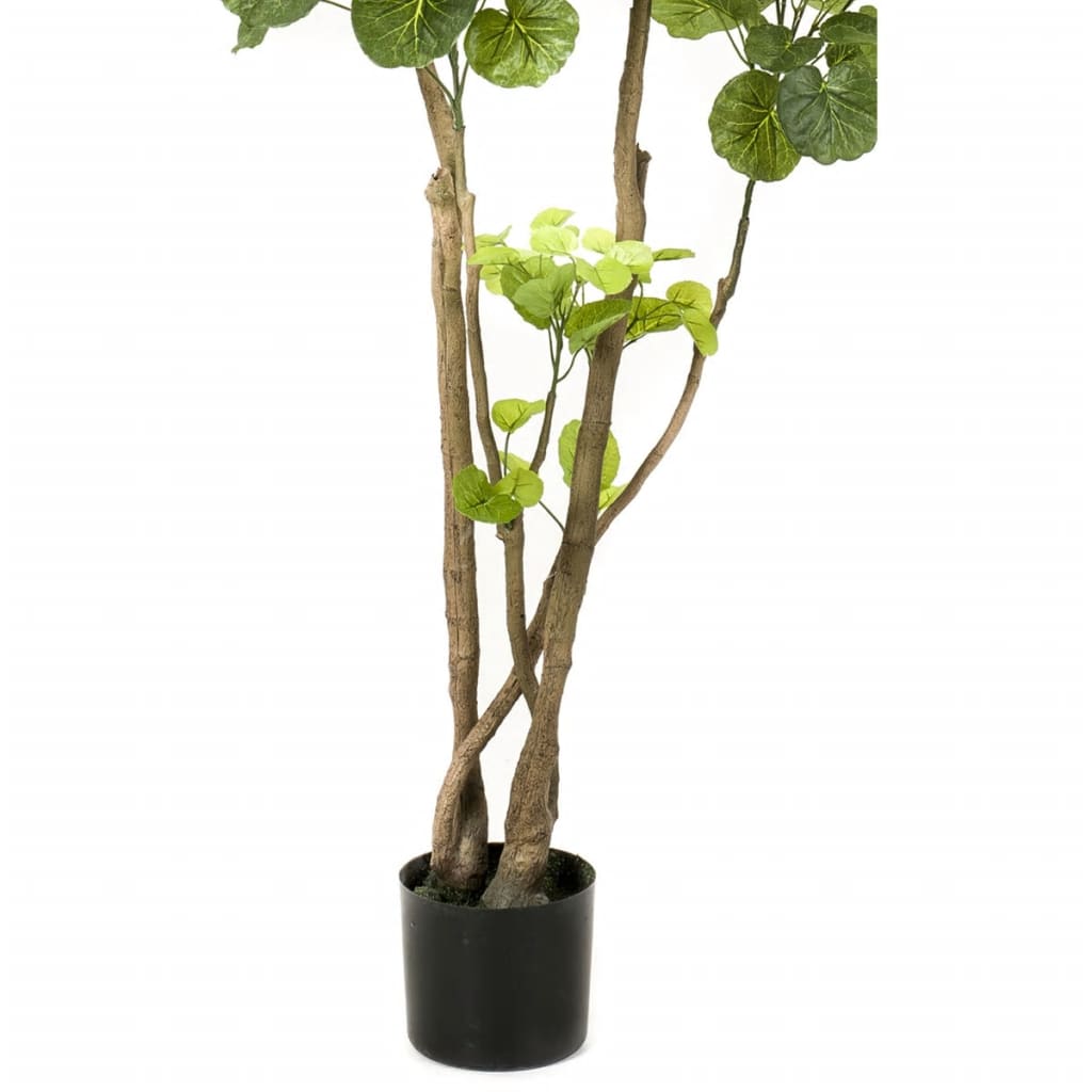 Albero di Polyscias Artificiale Verde 135 cm 420292