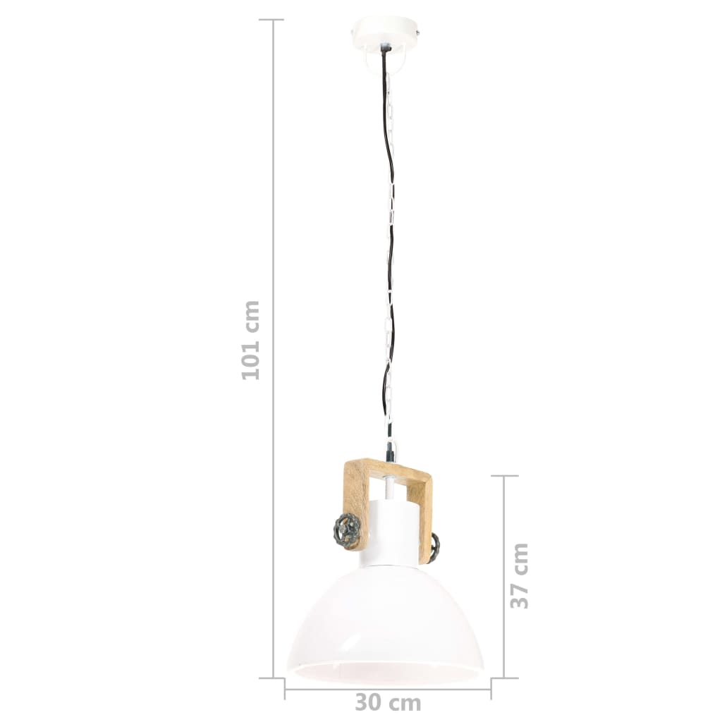 Lampada a Sospensione Industriale 25 W Bianca Rotonda 30 cm E27 - homemem39