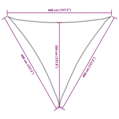 Parasole a Vela Oxford Triangolare 4x4x4 m Antracite - homemem39