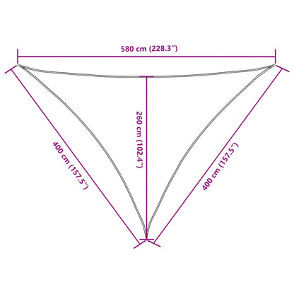 Parasole a Vela Oxford Triangolare 4x4x5,8 m Nero - homemem39