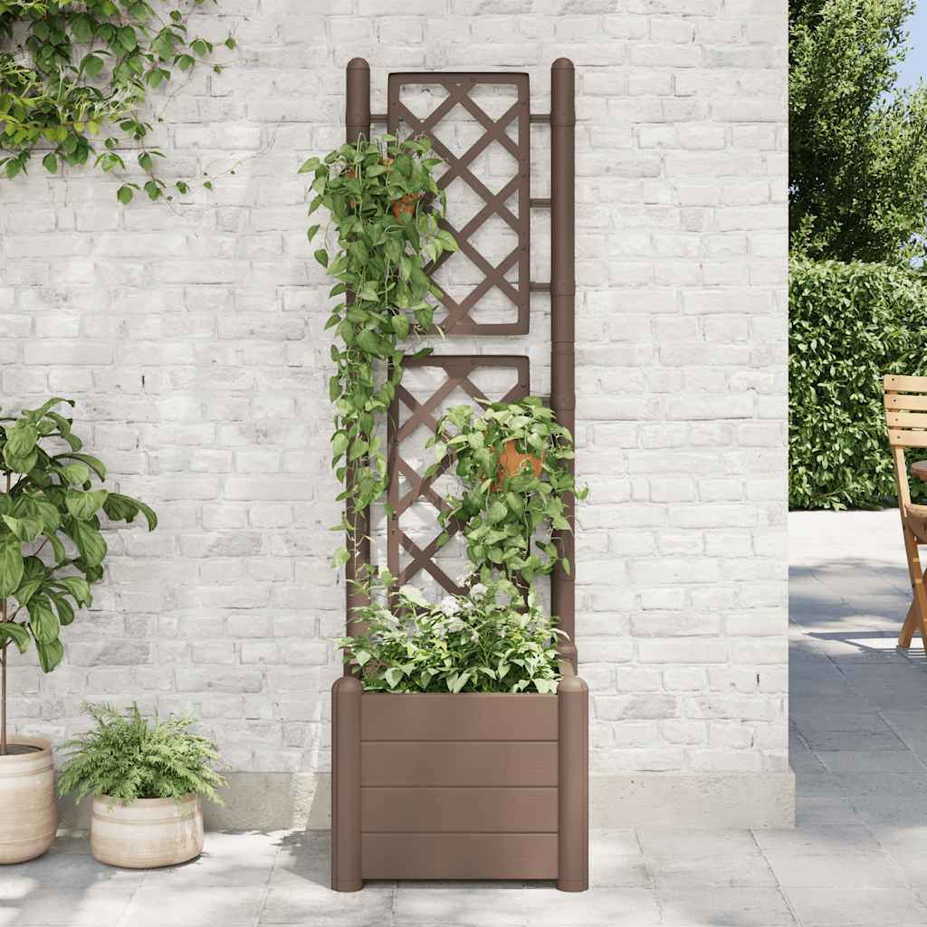 Fioriera da Giardino con Graticcio 43x43x142 cm PP Mocca - homemem39