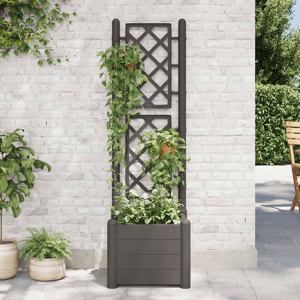 Fioriera da Giardino con Graticcio 43x43x142 cm PP Antracite - homemem39