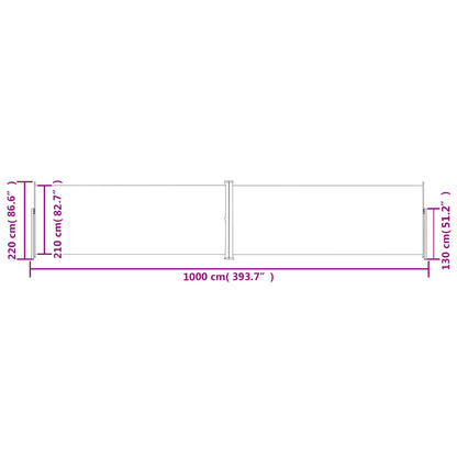 Tenda da Sole Laterale Retrattile Nera 220x1000 cm - homemem39