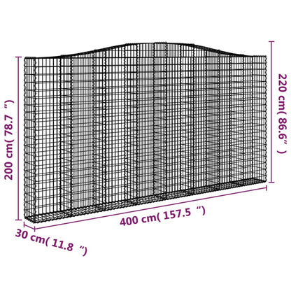 Cesti Gabbioni ad Arco 2 pz 400x30x200/220 cm Ferro Zincato