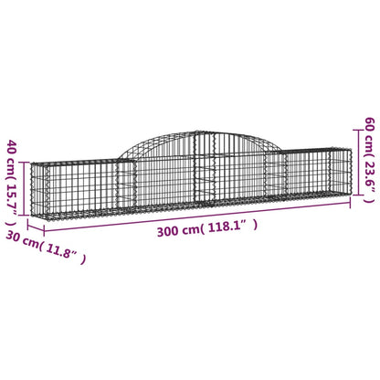 Cesti Gabbioni ad Arco 17 pz 300x30x40/60 cm Ferro Zincato - homemem39