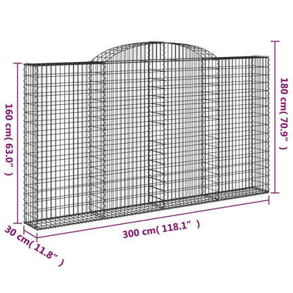 Cesti Gabbioni ad Arco 5 pz 300x30x160/180 cm Ferro Zincato