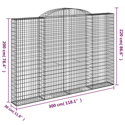 Cesti Gabbioni ad Arco 2 pz 300x30x200/220 cm Ferro Zincato