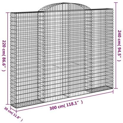 Cesti Gabbioni ad Arco 5 pz 300x30x220/240 cm Ferro Zincato