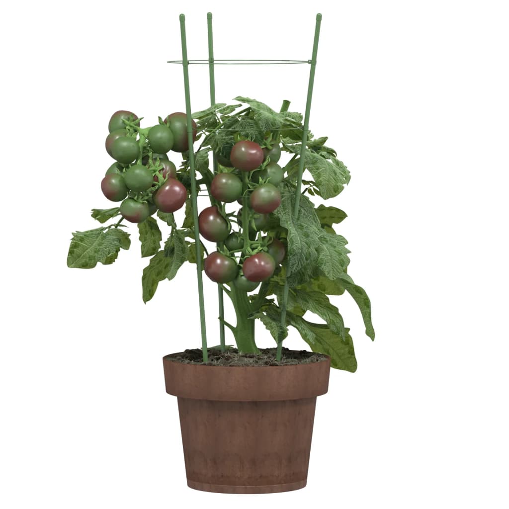 Supporti Piante da Giardino con 3 Anelli 5pz Verde 45cm Acciaio - homemem39