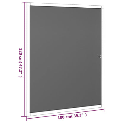 Zanzariera per Finestre Antracite 100x120 cm - homemem39