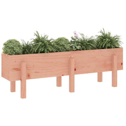 Fioriera Rialzata Giardino 121x30x38 cm Legno Massello Douglas