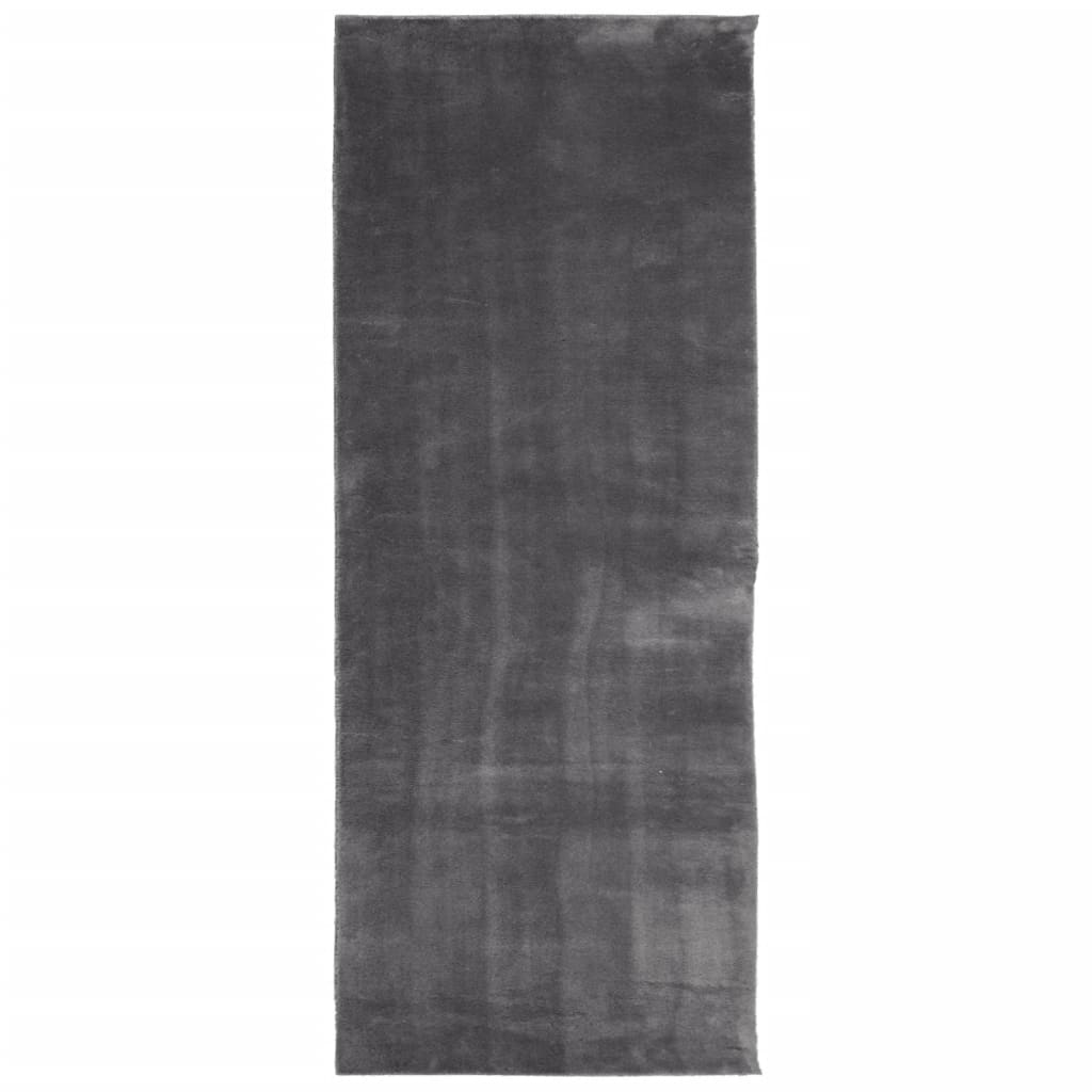 Tappeto a Pelo Corto HUARTE Morbido Lavabile Antracite 80x200cm - homemem39