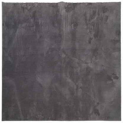 Tappeto Pelo Corto HUARTE Morbido Lavabile Antracite 120x120 cm - homemem39