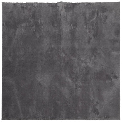 Tappeto Pelo Corto HUARTE Morbido Lavabile Antracite 240x240 cm