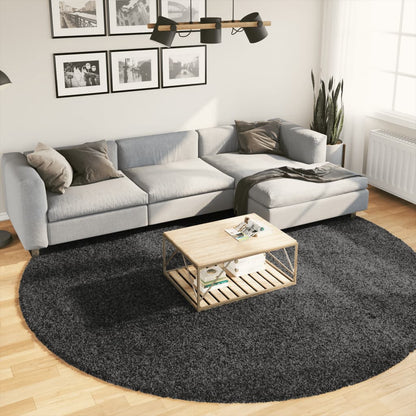 Tappeto Shaggy PAMPLONA a Pelo Lungo Moderno Antracite Ø 280 cm - homemem39