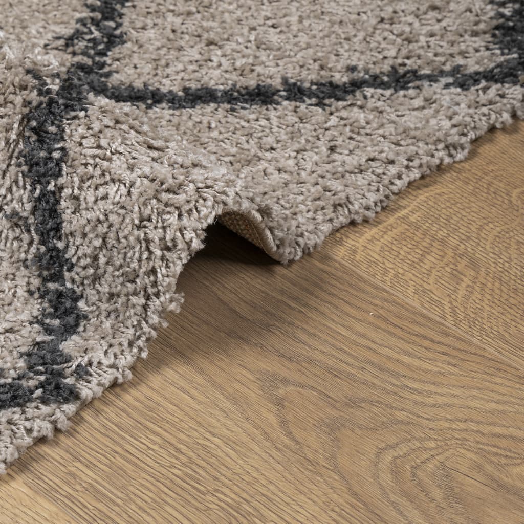 Tappeto Shaggy PAMPLONA Pelo Lungo Beige e Antracite 300x400 cm - homemem39