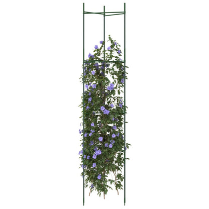 Sostegno per Pomodori 2pz 154 cm in Acciaio e PP - homemem39